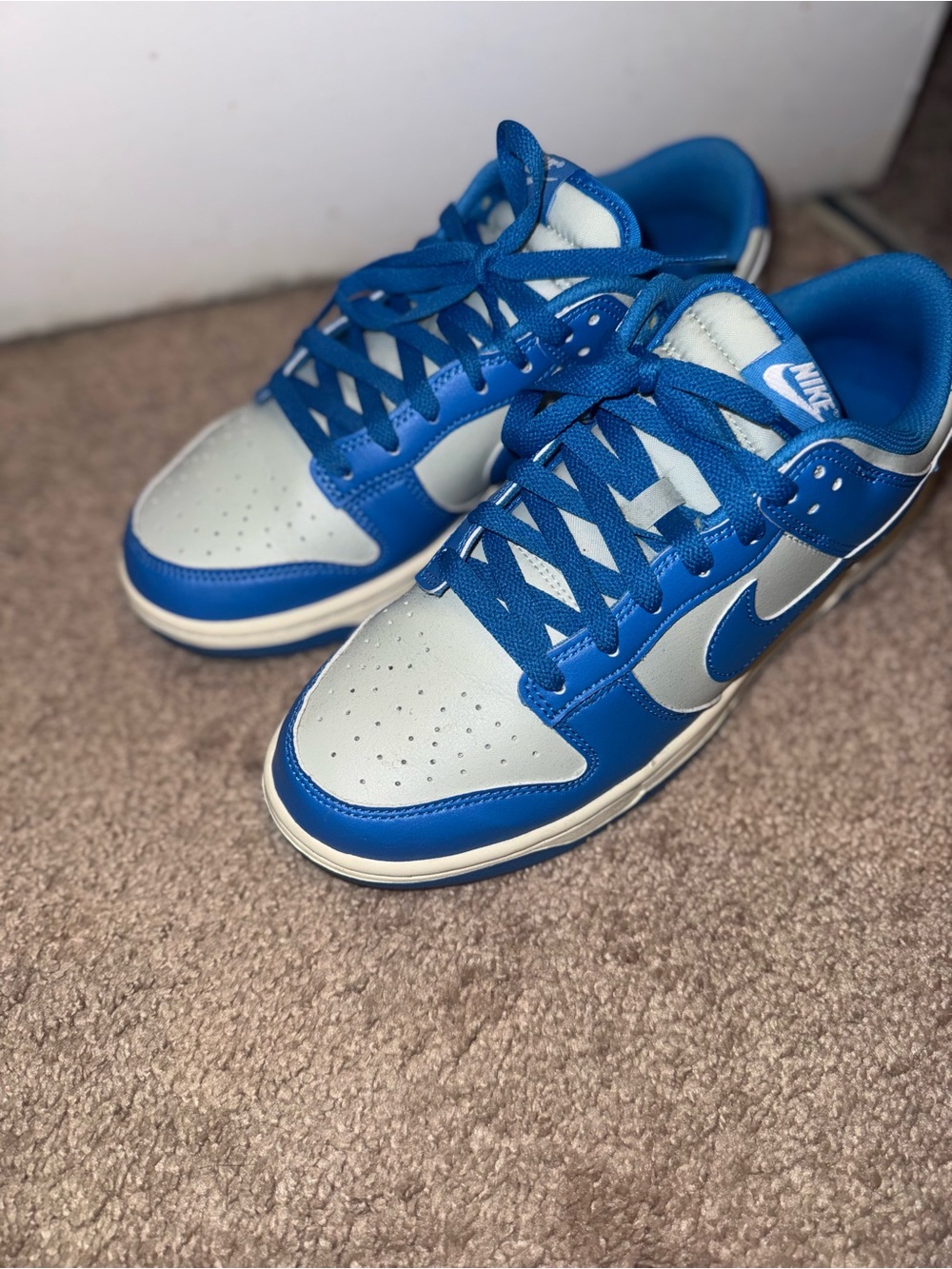 Nike Low-Top Sneakers in Blue and White